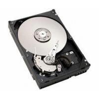 ibm hot swap nl sas 1tb 42d0777