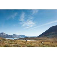 Icefjord Hike and Settlement of Kapisillit