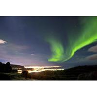 iceland super saver northern lights cruise plus whale watching tour fr ...