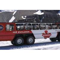 Ice Explorer Glacier Tour and Glacier Skywalk