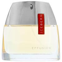 Iceberg Effusion for Women Eau de Toilette 75ml