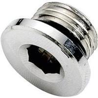 ICH 30152 Parallel Male Plug With O-Ring 1/8\