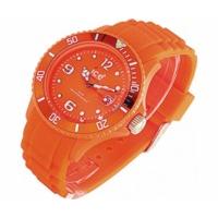 Ice Watch Ice Winter Dried Orange (SI.DO.B.S.10)