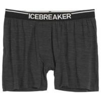 Icebreaker Anatomica Boxers (103029) jet heather / black