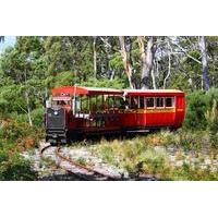 Ida Bay Railway Train Tour