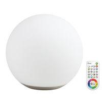 Idual Dahlia Frosted White Table Lamp with Remote