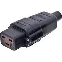 IEC connector C19 Socket, straight Total number of pins: 2 + PE 16 A Black Kalthoff 1 pc(s)