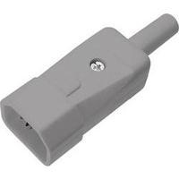 IEC connector C14 ATT.LOV.SERIES_POWERCONNECTORS 249 Plug, straight Total number of pins: 2 + PE 10 A Grey Kaiser 1 pc(