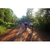 Iguazú Bike Tour to the Yaguarundi Road from Puerto Iguazú