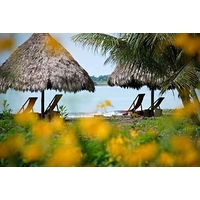 Iguana Lodge & Spa Beach Resort