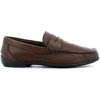 Igi amp;co 7702 Mocassins Man Brown men\'s Loafers / Casual Shoes in brown