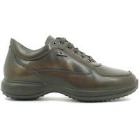 igi ampco 6686 shoes with laces man tmoro mens walking boots in brown