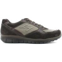 igi ampco 4727 shoes with laces man mens shoes trainers in beige