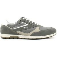 igi ampco 5684 sneakers man grey mens shoes trainers in grey