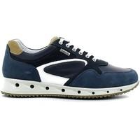 Igi amp;co 7716 Shoes with laces Man Blue men\'s Walking Boots in blue
