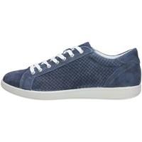 Igi amp;co Igi Co. 76763 Sneakers men\'s Shoes (Trainers) in blue