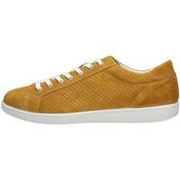 igi ampco igi co 76767 sneakers mens shoes trainers in brown