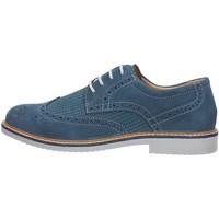 Igi amp;co Igi Co. 76793 Lace-ups men\'s Shoes in blue