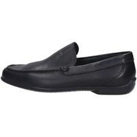 Igi amp;co Igi Co. 77015 Loafers men\'s Loafers / Casual Shoes in black