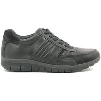 igi ampco 6692 man mens shoes trainers in black