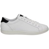 igi ampco 7676 sneakers man bianco mens shoes trainers in white