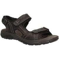 igi ampco 7731 sandals man black mens sandals in black