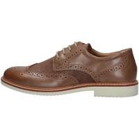 Igi amp;co Igi Co. 76792 Lace-ups men\'s Casual Shoes in brown