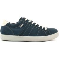 igi ampco 5724 sneakers man mens shoes trainers in blue