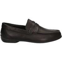 Igi amp;co 7702 Mocassins Man Black men\'s Loafers / Casual Shoes in black