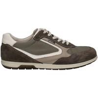 igi ampco 7690 shoes with laces man grey mens shoes trainers in grey