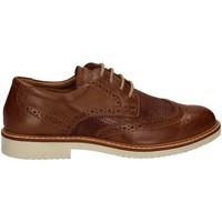 Igi amp;co 7679 Lace-up heels Man Brown men\'s Smart / Formal Shoes in brown