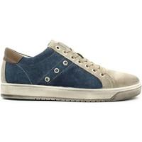 igi ampco 5718 sneakers man blue mens shoes trainers in blue