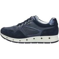 igi ampco igi co 77621 sneakers womens shoes trainers in blue