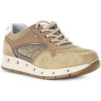 Igi amp;co Igi And CO Nappa women\'s Shoes (Trainers) in BEIGE
