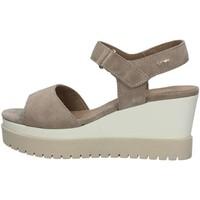 igi ampco igi co 78662 sandals womens sandals in beige