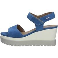 igi ampco igi co 78661 sandals womens sandals in blue