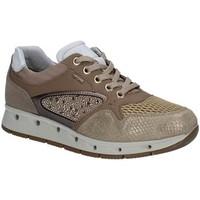 Igi amp;co 7762 Sneakers Women Brown women\'s Walking Boots in brown
