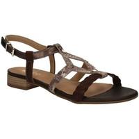 igi ampco 7832 high heeled sandals women brown womens sandals in brown