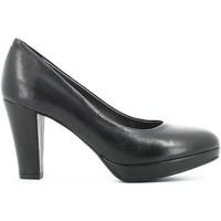 igi ampco 4884 decollet women womens court shoes in black