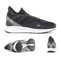 ignite netfit trainer