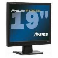 Iiyama ProLite P1905S-1 Monitor 19 inch SXGA TFT LCD 1000:1 250cd/m2 1280 x 1024 5ms D-Sub/DVI-D (Black)