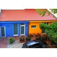 IL GIRASOLE HIGH QUALITY I