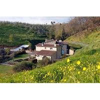 Il Borghetto Andrea Tafi