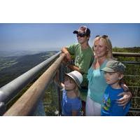 illawarra fly treetop walk zipline tour