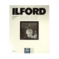 Ilford 1771604