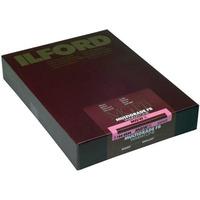 ilford mgfbwt1k 11x14 inch 50 sheets 1865509