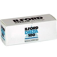 ilford delta 100 pro 120 roll film