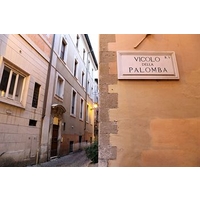 Imperium Suite Navona