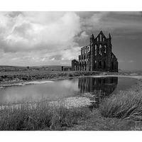 image seen yorkshire coastal treasures thursday 21st sunday 24th septe ...