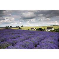 Image Seen: The Cotswolds and Lavender Farm, One Day Workshop - Tuesday 11th July